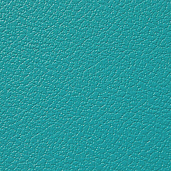 Turquoise RAL 5018