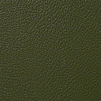Olive green RAL 6003